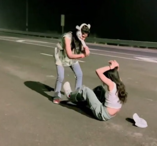 FIR against Naagin dance on highway: जब यूपी पुलिस को बनना पड़ा ‘सपेरा’…हाईवे पर ‘नागिन डांस’ देख पुलिस का फिल्मी एक्शन